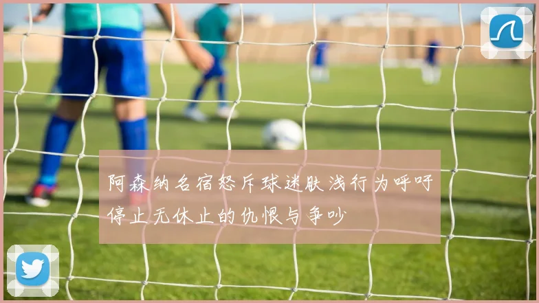 阿森纳名宿怒斥球迷肤浅行为呼吁停止无休止的仇恨与争吵