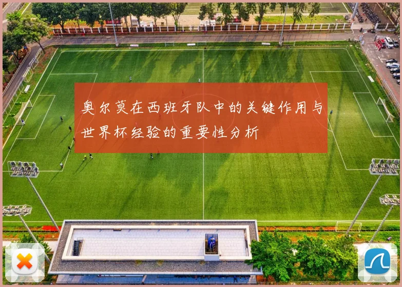 奥尔莫在西班牙队中的关键作用与世界杯经验的重要性分析