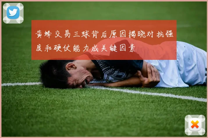 黄蜂交易三球背后原因揭晓对抗强度和硬仗能力成关键因素